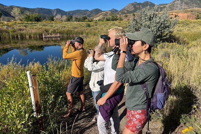 2 Hours of Mindful Bird Watching near Denver - Why This 2-Hour Bird Walk in Lakewood Feels So Worth It
