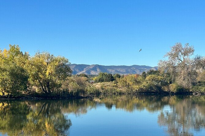 2 Hours of Mindful Bird Watching near Denver - Species Counts: What You Can Reasonably Expect Near Denver