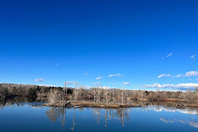 2 Hours of Mindful Bird Watching near Denver - Price and Value: $50 for Gear, a Small Group, and Real Learning