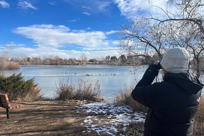 2 Hours of Mindful Bird Watching near Denver - How to Get the Most Out of Your Bird Walk (Without Trying Too Hard)