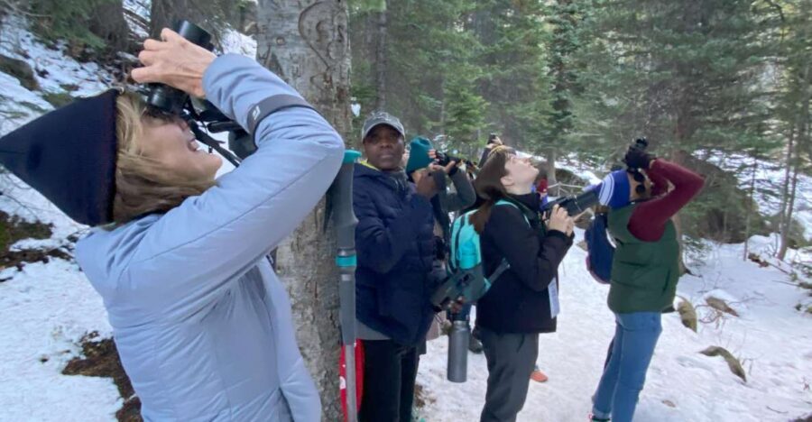 Birding Hike and Hot Spring Soak from Denver - Denver Pickup to Spruce-Fir Forest: How the Day Flows