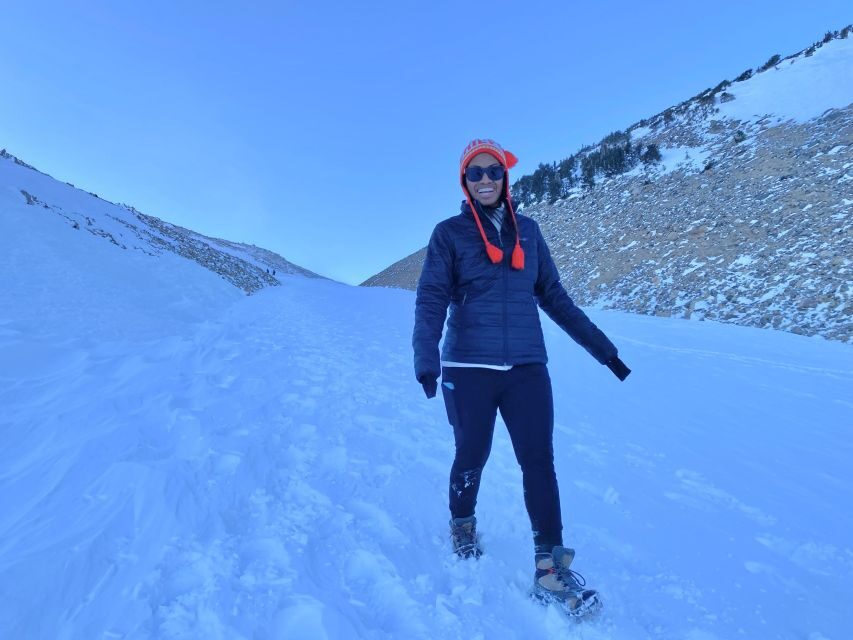 Birding Hike and Hot Spring Soak from Denver - Meet Ryan and the Ph.D. Ecologist Approach to Birding