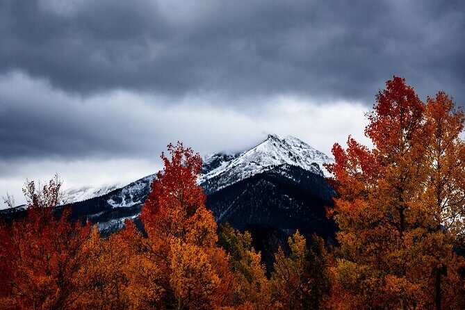 Breckenridge & Continental Divide Explorer - Small-group comfort: max 13, 14-seat vehicle, and easier photo flow