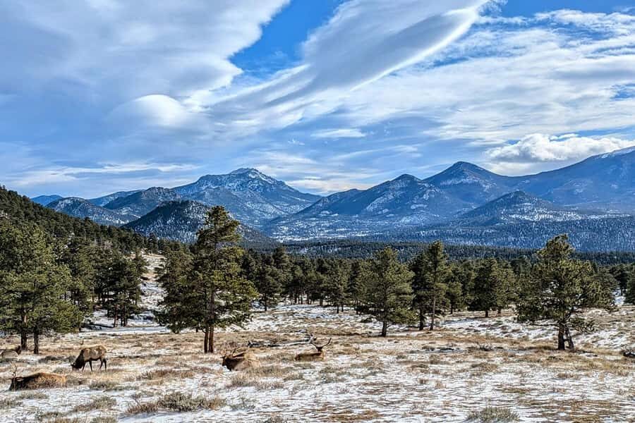 Denver/Boulder: Rocky Mountain National Park Tour - Rocky Mountain National Park: wildlife spotting without needing hiking plans