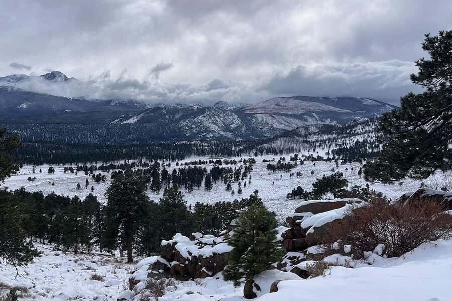 Denver/Boulder: Rocky Mountain National Park Tour - Small-group comfort (13 people) makes the whole day feel calmer