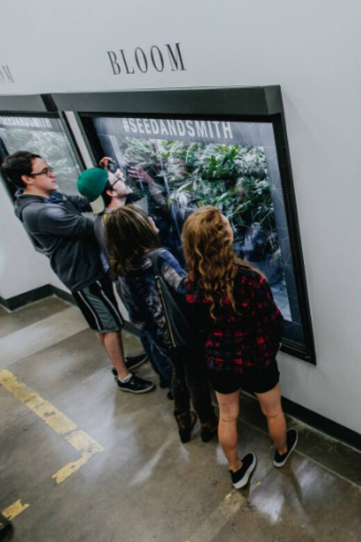 Denver: Buds & Brews Cannabis Grow Tour and Brewery Visit - The 3-hour rhythm: how you fit grow lessons and beer tastings in one go