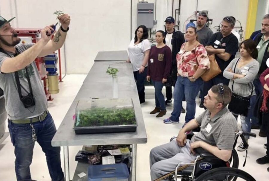Denver: Cannabis Tour with Grow Facility Access - Live Glass Pipe Blowing: A Hands-On Skill You Can Buy