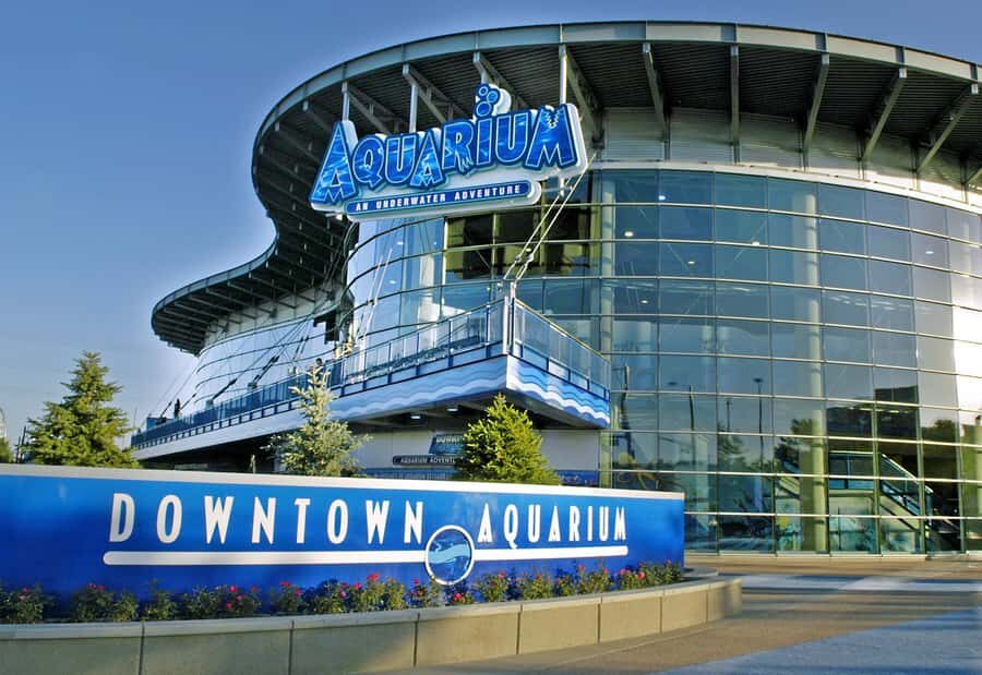 Denver: Downtown Aquarium All-Day Pass - Entering the Aquarium: Getting Your Bearings Without Waiting