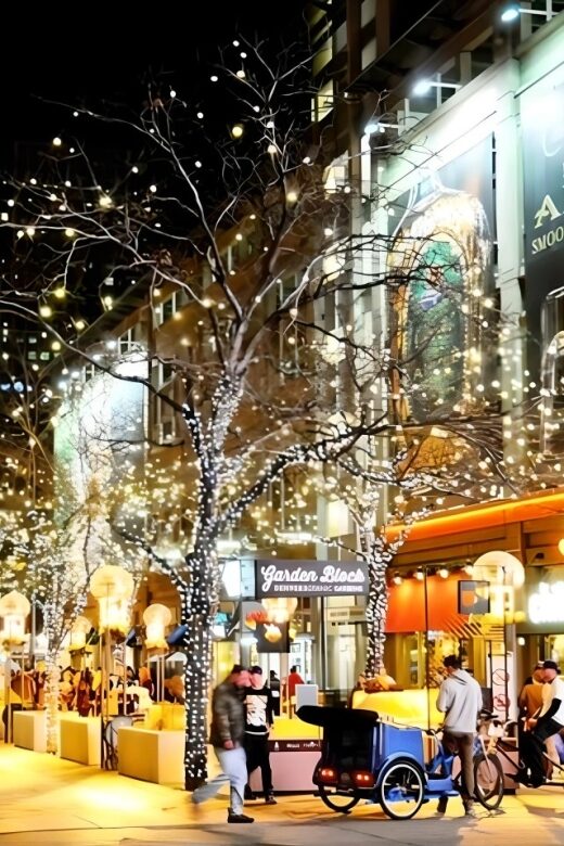 Denver: Holiday Lights & Sights Bus Tour - What the 2-hour route actually feels like