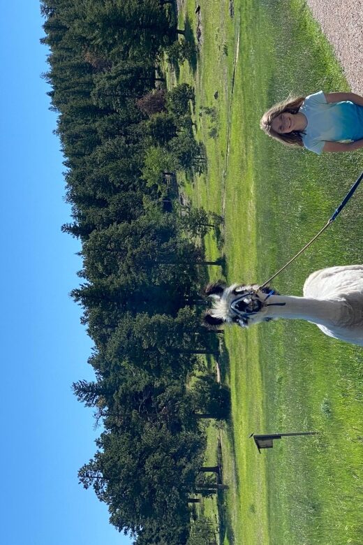 Denver: Llama Hike in the Rocky Mountains - Where you start: Flying J Ranch Park near Conifer