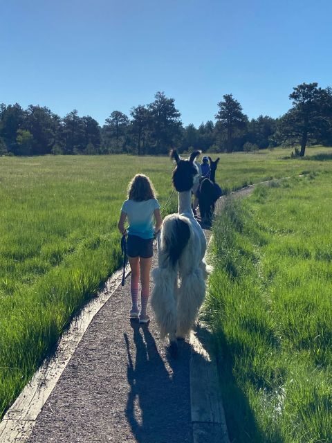 Denver: Llama Hike in the Rocky Mountains - What guides do besides walking: plants, fauna, and local stories
