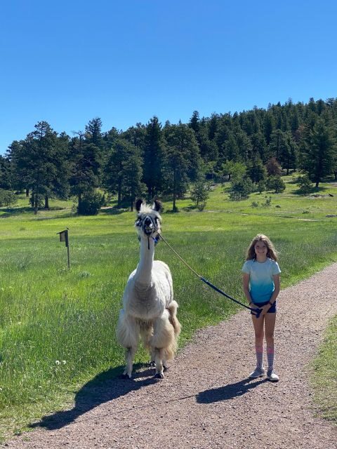 Denver: Llama Hike in the Rocky Mountains - Photos at the end: turning the hike into a keepsake