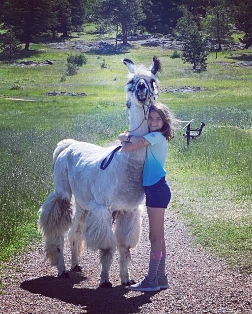 Denver: Llama Hike in the Rocky Mountains - What to bring so you stay comfy (and safe)