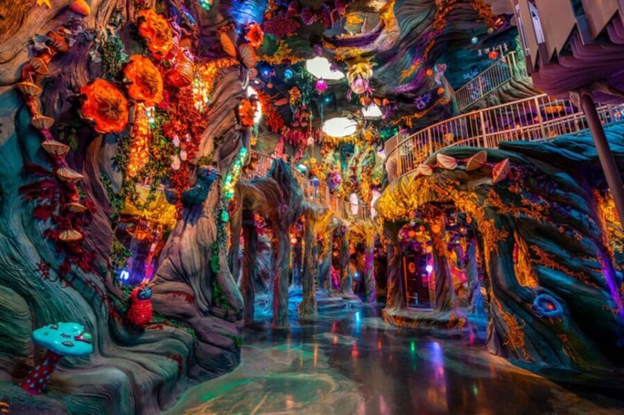 Denver: Meow Wolf Convergence Station Ticket - Know before you go: bag rules, no flash photos, and the keep-it-light checklist