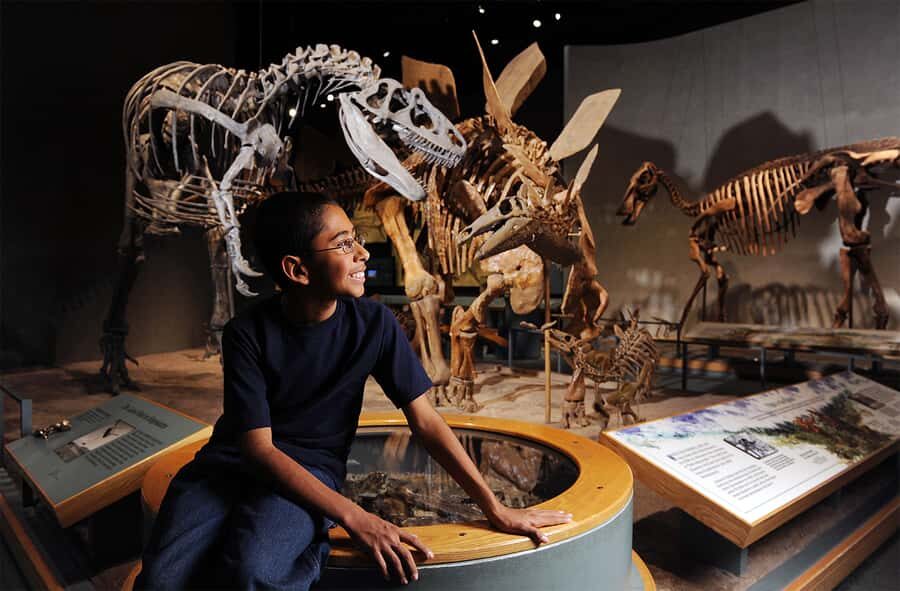 Denver: Museum of Nature and Science Entry Ticket - Museum of Nature and Science Entry: what your $26 gets you