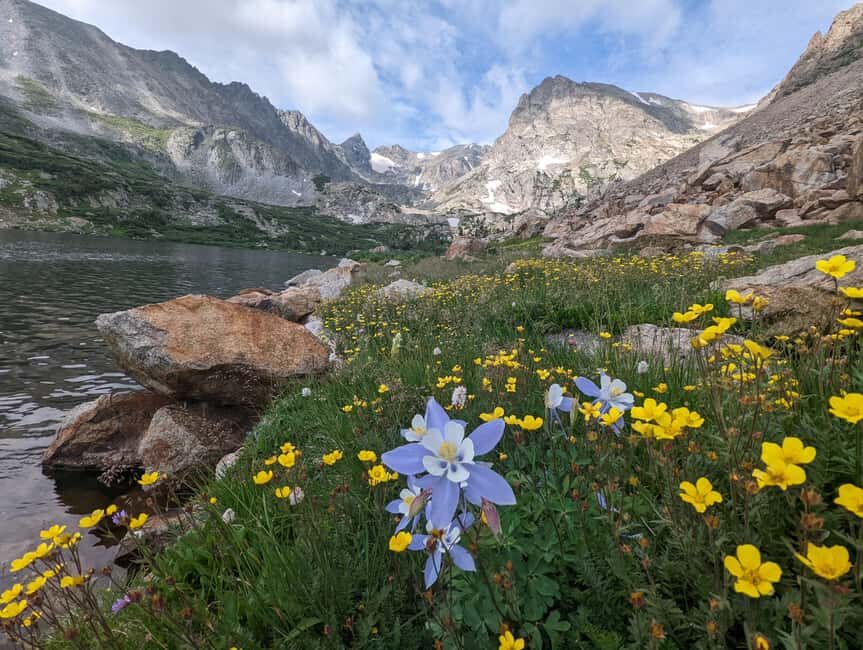 Denver: Private Rocky Mountain National Park Wildlife Tour - Spotting Plan for Elk, Moose, Bighorn Sheep, Bears, and Predators