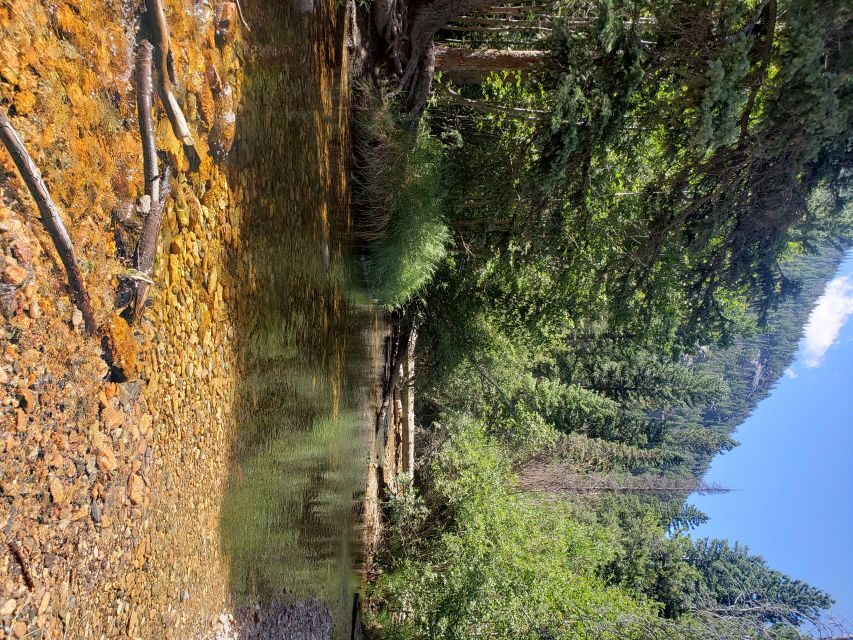 Denver: Rocky Mountain National Park Tour with Picnic Lunch - Key things that make this tour click