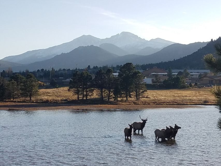 Denver: Rocky Mountain National Park Tour with Picnic Lunch - Union Station pickup to the park: the van ride that sets your day up