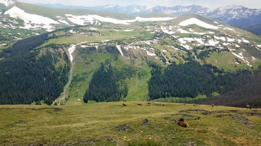 Denver: Rocky Mountain National Park Tour with Picnic Lunch - Alpine Visitor Center and Estes Park: practical pit stops that add context