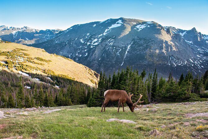Discover Rocky Mountain National Park - Key Things That Make This Day Trip Worth Your Time
