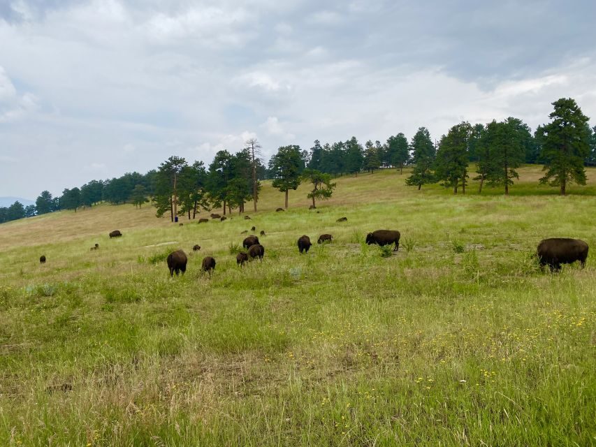 From Denver: Red Rocks and Foothills Half-Day Guided Tour - Evergreen Lake and the Lariat Loop Return: A Scenic Drive Without the Planning