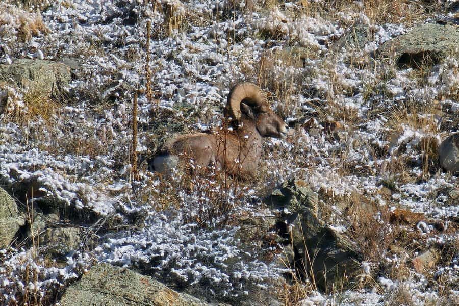 From Denver: Rocky Mountain Escape Tour - What This Tour Does Not Do (And Why That’s Good)