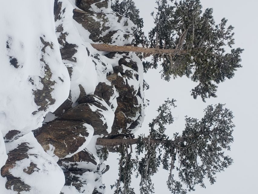 From Denver: Rocky Mountain National Park Winter/Spring Tour - Estes Park: Break Time, Lunch, and Shop-and-Stroll Energy