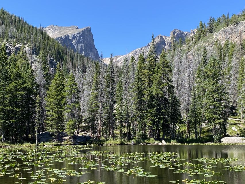 From Denver: Rocky Mountains Jeep Tour with Picnic Lunch - Price and Value: Is $665 for a Group Up to 4 Worth It?