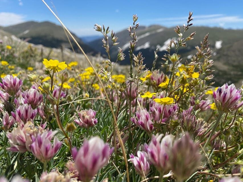 From Denver: Trip to Mount Blue Sky Summit and Glacial Lake - Price and Value: Why $129 Can Make Sense (or Not)