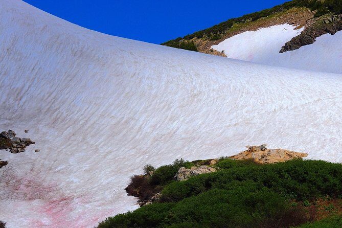 Glacier Hiking & Geothermal Cave Pools Tour - A Small-Group Day Trip From Denver: Easy Pickup, No Guesswork
