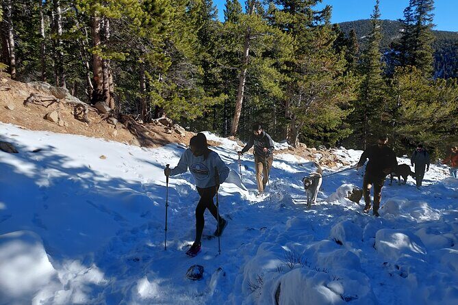 Guided hike in Rockies - Half Day Trip - What’s Included, What’s Not, and What to Bring