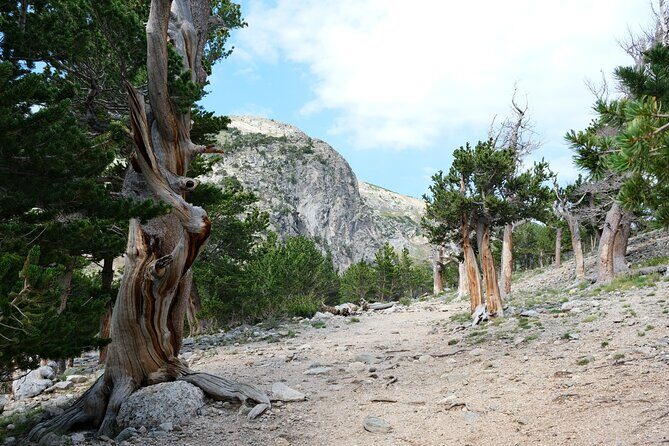 Guided hike in Rockies - Half Day Trip - Weather Reality Check: Why You Should Stay Flexible