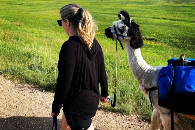 Guided Llama Hike in the Rocky Mountains - Who should book: families, couples, and anyone who wants a gentler mountain day