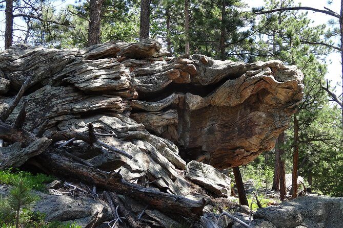 Hike the Rockies Half Day Tour - The Rocky Scenic Overlook by the Lake: the pause you’ll remember
