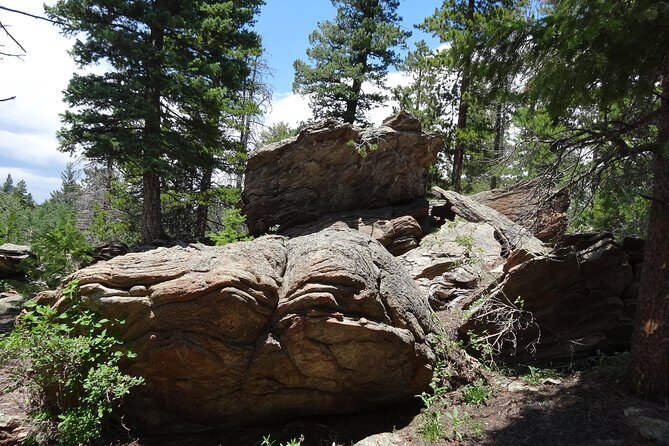 Hike the Rockies Half Day Tour - Winter Changes: snowshoes and poles, plus what you still need
