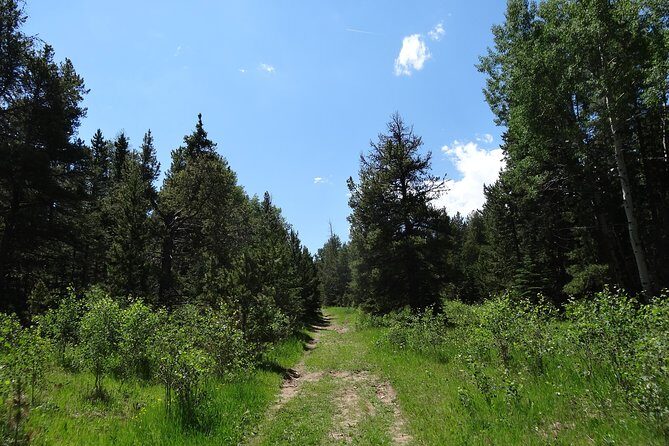 Hike the Rockies Half Day Tour - Timing and effort: how this 5 hours usually feels