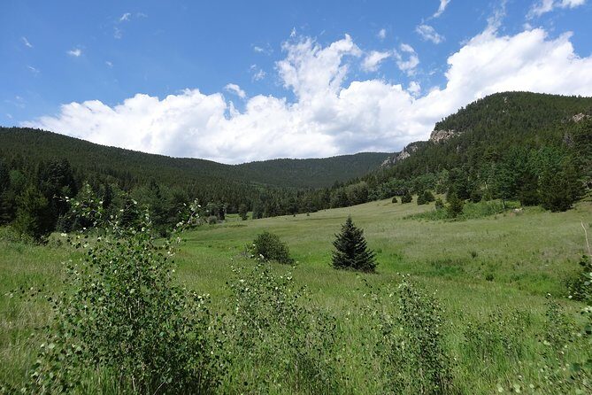 Hike the Rockies Half Day Tour - Price and value: is $99.99 a fair deal?