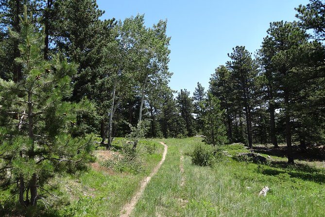 Hike the Rockies Half Day Tour - Your Morning Route: streamside aspens to a wildflower meadow