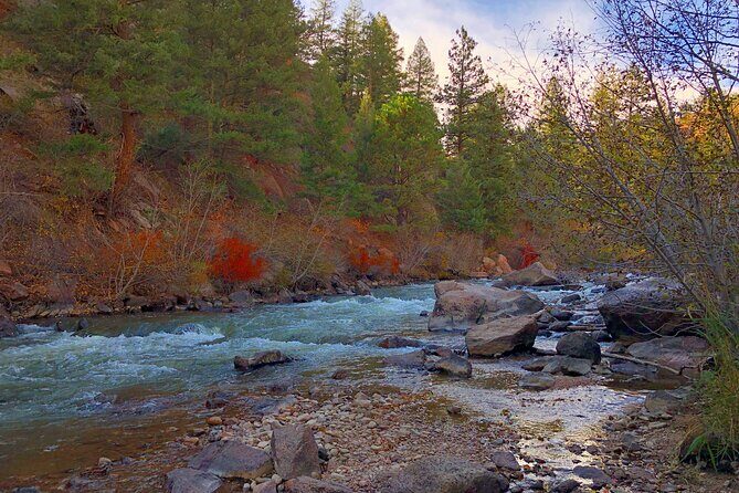 Hiking Adventure Through Colorado's Front Range Close to Denver - Wildlife spotting without turning it into a slow-motion safari
