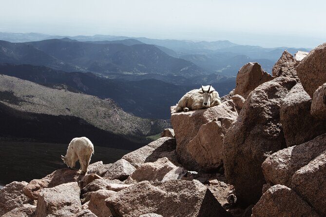 Mount Blue Sky Alpine Summit & Red Rocks Tour from Denver - Summit Lake Views, Possible Wildlife, and Altitude Reality