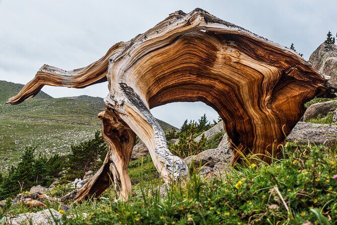 Mount Blue Sky Alpine Summit & Red Rocks Tour from Denver - Idaho Springs for Beer, Shopping, and Colorado Charm