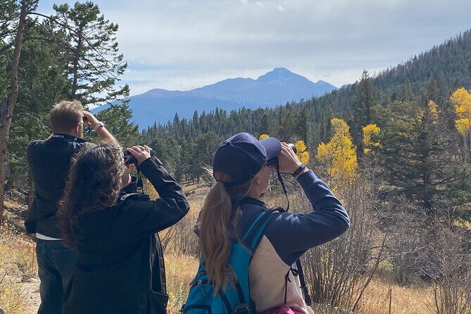 Private Birding Hike in Rocky Mountain National Park - Species Targets: Mammals, Birds, and Those “Mountain Specialty” Names