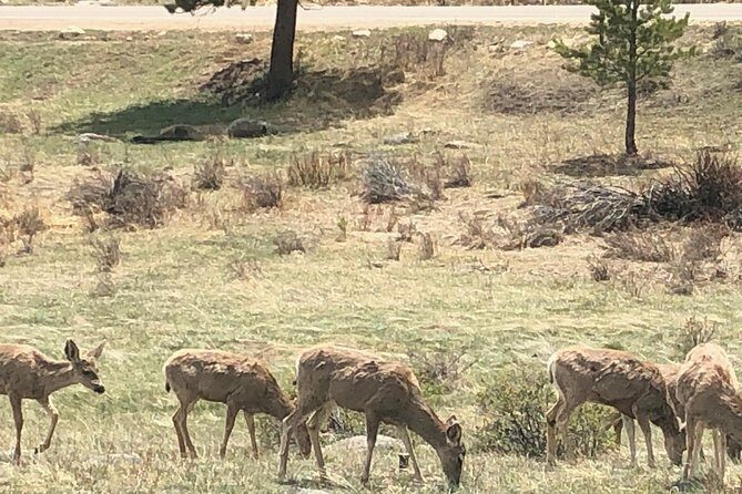 Private Day Tour From Denver to Estes Park and Rocky Mountain National Park - Estes Park Visitor Center: Shopping Time and the Boulder Return