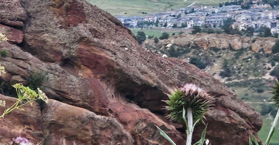Rocky Mountain HIGH: Cannabis Mountain Tour - Who should book Rocky Mountain HIGH?