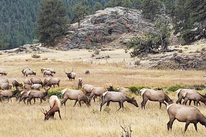 Rocky Mountain National Park and Estes Park Tour from Denver Winter and Spring - From Denver’s Union Station to the Rockies: start time matters