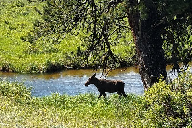 Rocky Mountain National Park and Estes Park Tour from Denver Winter and Spring - Sprague Lake (or Bear Lake) in winter: short walk, big payoff