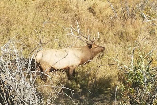 Rocky Mountain National Park and Estes Park Tour from Denver Winter and Spring - Visitor centers and the N.P. Passport moment