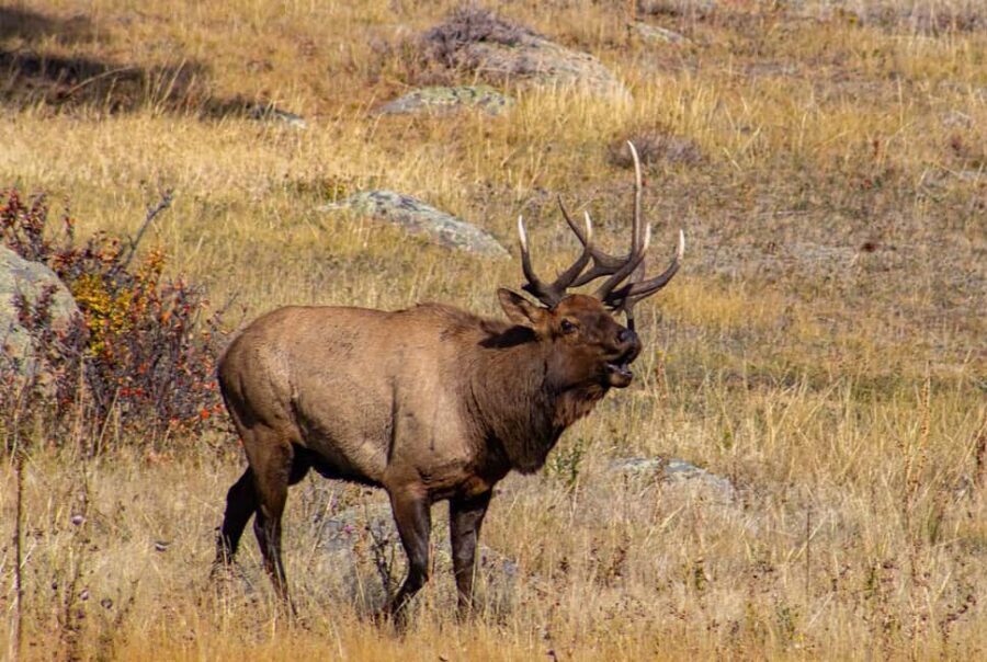 Rocky Mountain National Park Hike - Key highlights