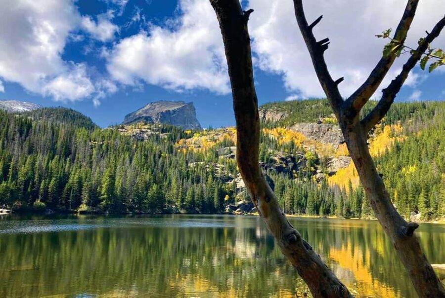 Rocky Mountain National Park Hike - Wildlife Watching: Moose, Elk, Eagles, and the Fun Extras