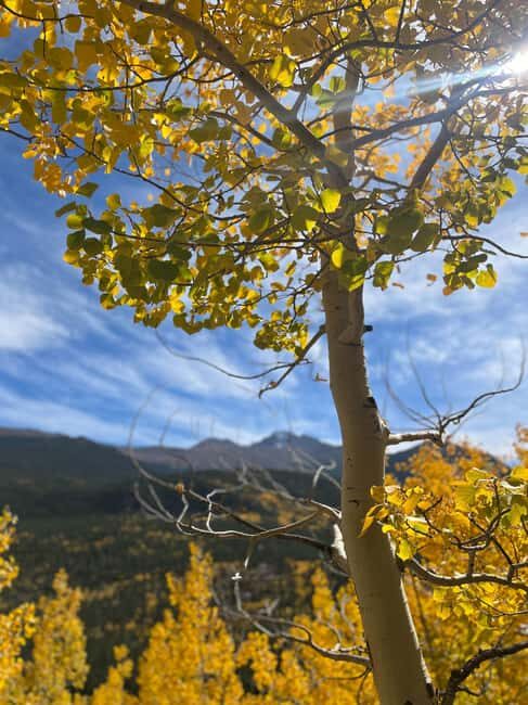 Rocky Mountain National Park Hike - Guide Leadership: What Makes This Tour Feel Local